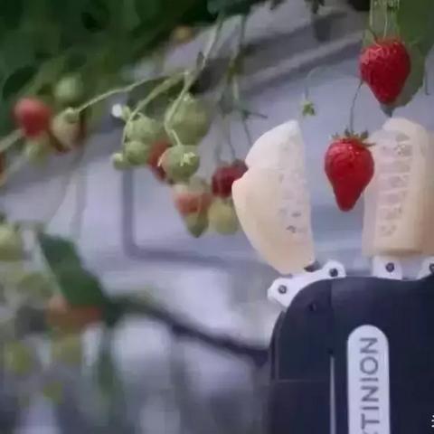 人工智能入侵怎么办