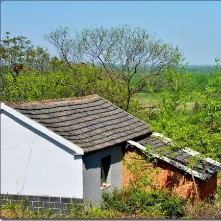 合肥市批发板栗在哪里进货