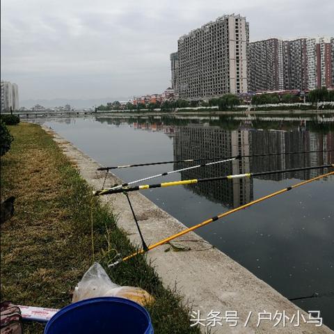 保定市哪里有野钓