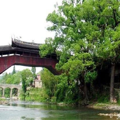 温州市雅阳车站电话的长尾关键词有什么