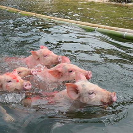 长沙市区玩儿什么地方好玩