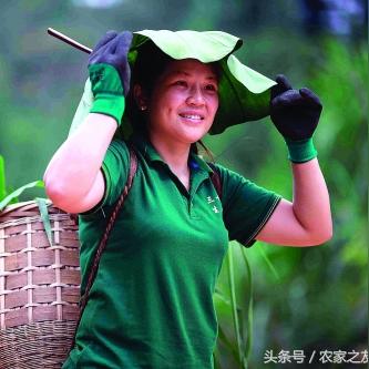 桂林的贵妃鸡怎么样相关长尾关键词有哪些