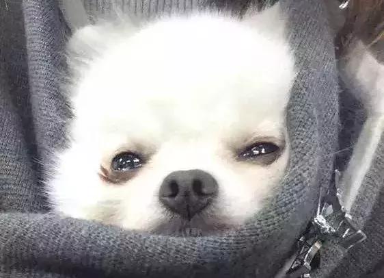 【盐水能杀死新型冠状病毒吗
/盐水能杀死新型冠状病毒吗视频】-图1 【盐水能杀死新型冠状病毒吗
/盐水能杀死新型冠状病毒吗视频】-图1