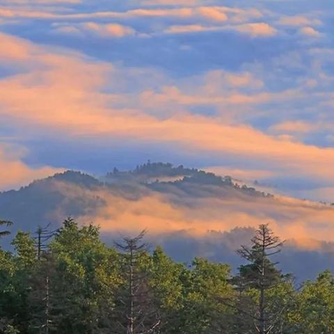 哈尔滨田野晚霞相关长尾关键词有哪些