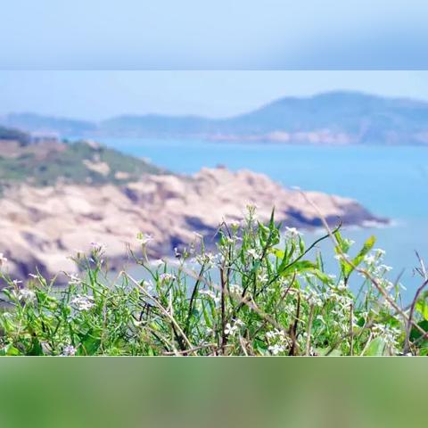 温州市到南麂岛怎么走