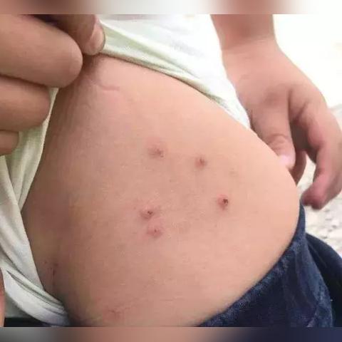 武汉市藏龙学校怎么样