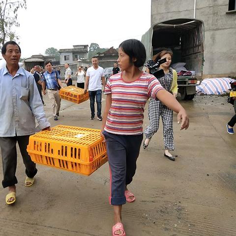 桂林养植相关长尾关键词有哪些