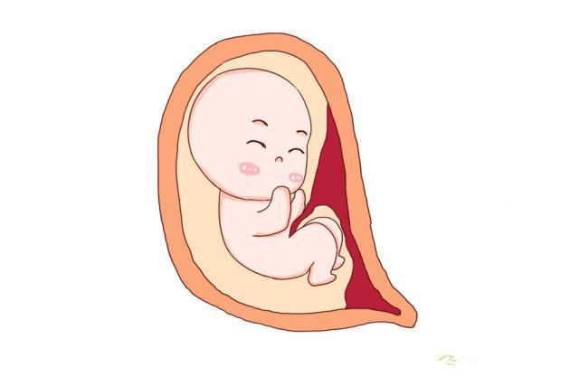 孕妇摔倒时怎么保护胎儿