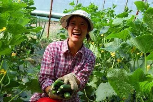蔬菜江湖已经变化莫测，批发行业不是包赚不赔的生意了