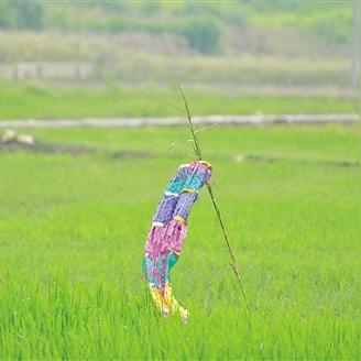 南宁翻土作业的相关长尾关键词有哪些