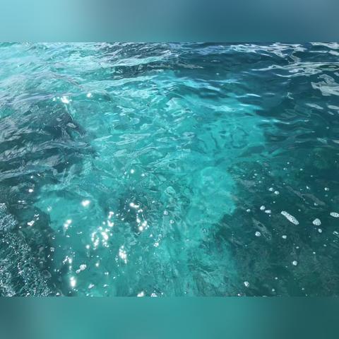 到长沙旅游如何在当地报团？