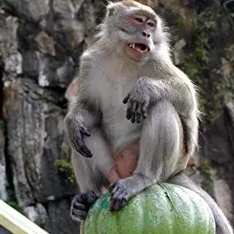 河南省盗窃的相关长尾关键词有哪些