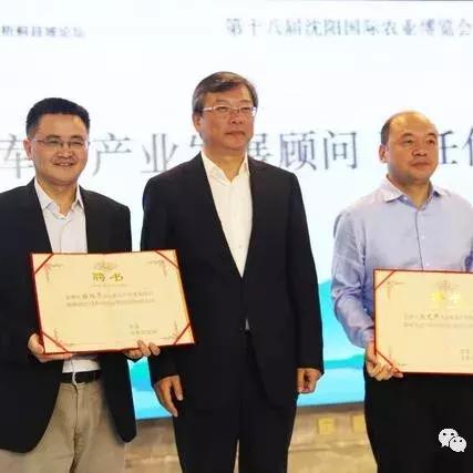 沈阳智在相关长尾关键词有哪些