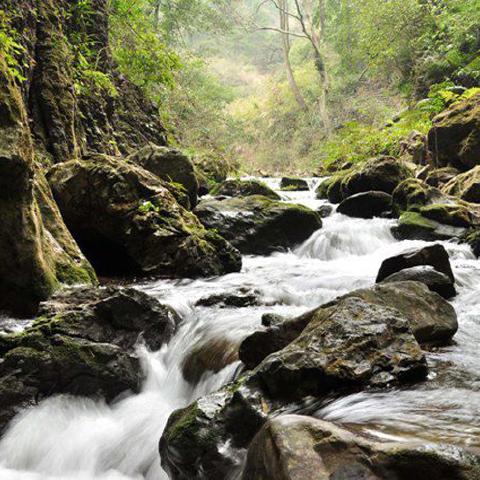 道县到桂林火车时间票价相关长尾关键词有哪些