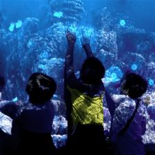 游宁波海洋世界作文的相关长尾关键词有哪些