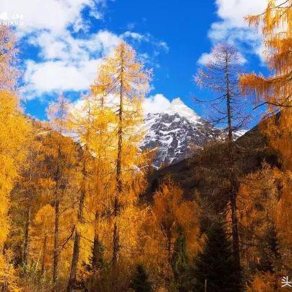 日落长沙秋色远下一句相关长尾关键词有哪些