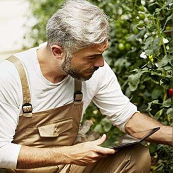 网络营销的简称什么