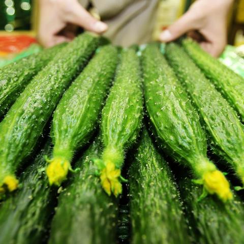 运城蔬菜水果一手货源的长尾关键词有哪些