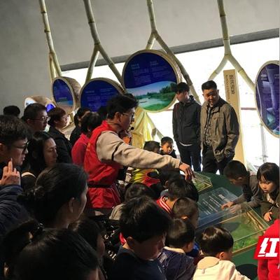 长沙洋湖学校怎么样？