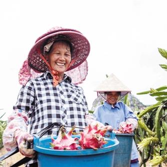 南宁蘑菇烘干房种类的相关长尾关键词有哪些