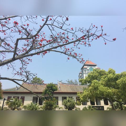 泉州市医保缴费基数是多少