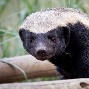 杭州市哪个区王者战力低