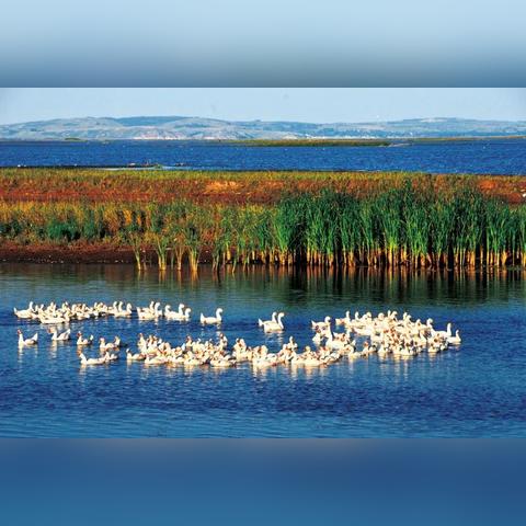 哈尔滨呼兰北京路邮政相关长尾关键词有哪些