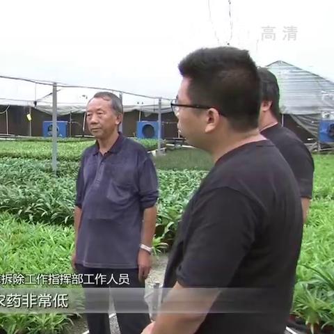 济南市苗木公司有哪些