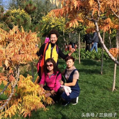 罗九公路到兰州军区幼儿园开车怎么走？