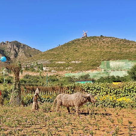 保定市共享电动车多少钱