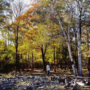 哈尔滨市周边哪个山好