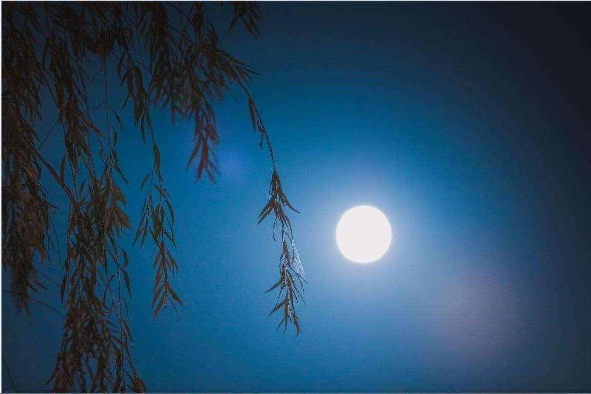星辰宝宝起名软件怎么样(取名星尘的寓意是什么)