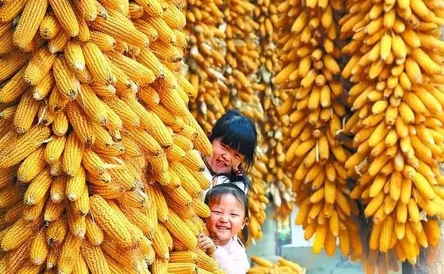 秋天宝宝要注意什么