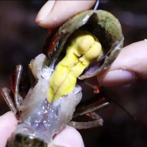 怎么查半年前的天气