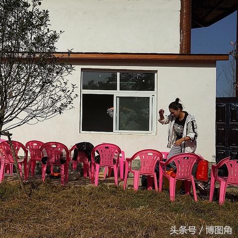 河南板栗怎么样好吃
