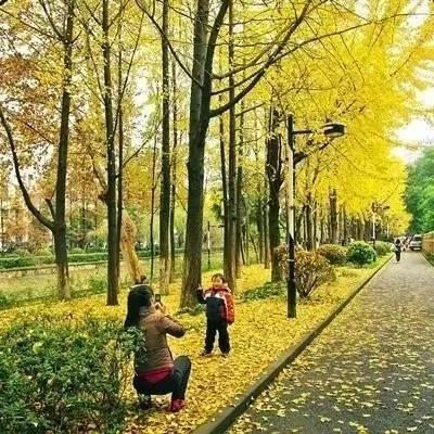 东莞市华园北四巷在哪里