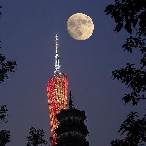 广州塔在广州市什么区