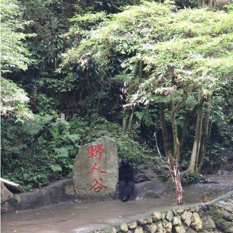 重庆利川怎么样