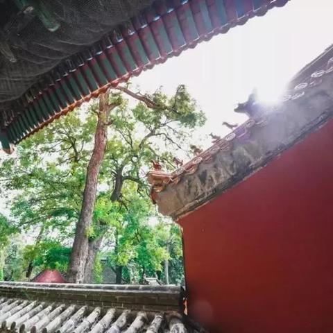 关于孔子后人在上海的故居相关关键词有哪些