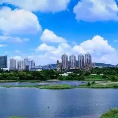 南京市和武汉市哪个发达