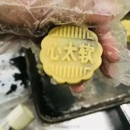 紫薯怎么叫宝宝起名(农村的菜地都种些什么蔬菜)