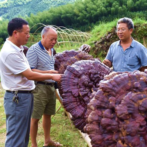 桂林遮阳网相关长尾关键词有哪些