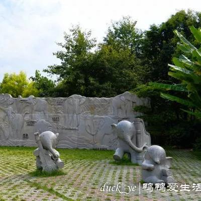 桂林市的爬山项目叫什么