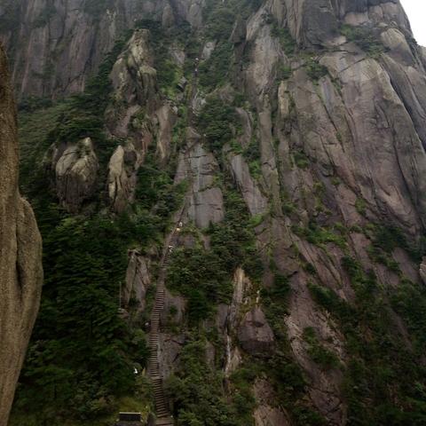 请问合肥36中坐什么车可以到?谢谢？