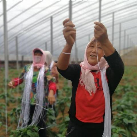 潍坊市齐家社区电话的长尾关键词有什么