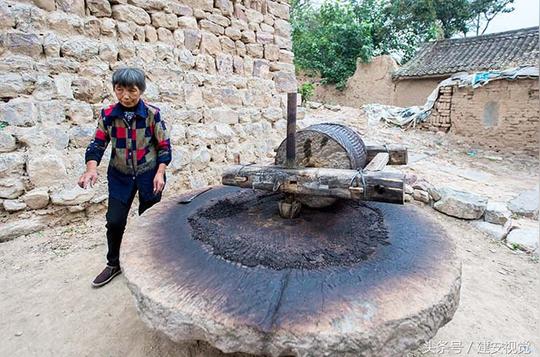 河北涉县：秦景卖花椒被招为驸马，如今花椒籽粉碎后成肥料