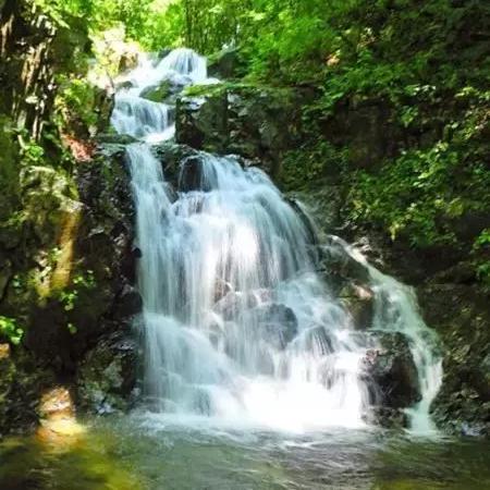 沈阳泡泡森林洗浴相关长尾关键词有哪些