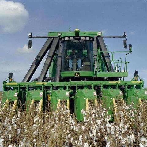 棉花糖软件的长尾关键词是什么