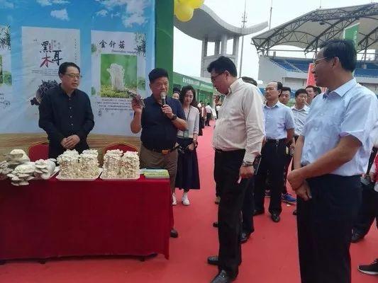 鲍沟元素为滕州市首届品牌产品展览交易会添彩
