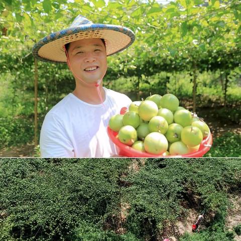 临沂市悦宝幼儿园地址在哪里